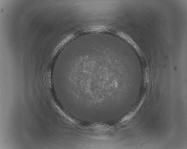 X0000078860585200611131205