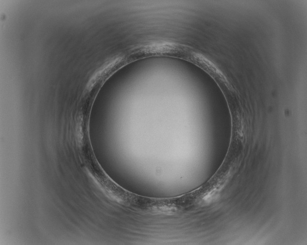 X0000078860586200611131205