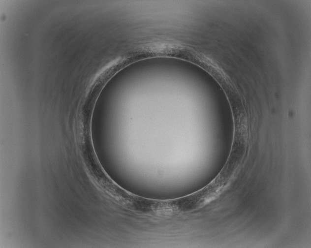 X0000078860587200611131205