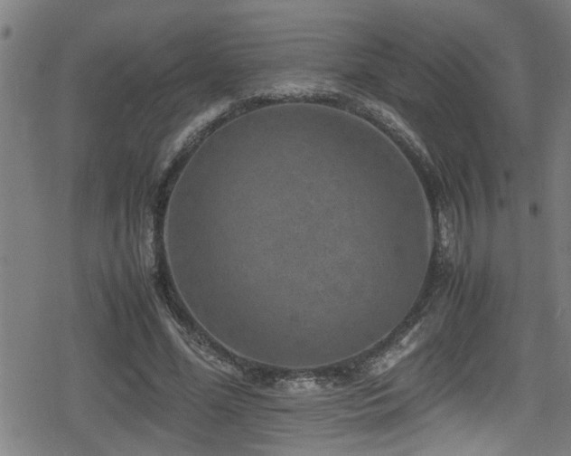 X0000078860588200611131205