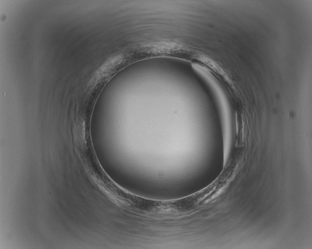 X0000078860589200611131205