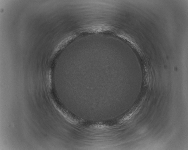 X0000078860590200611131205