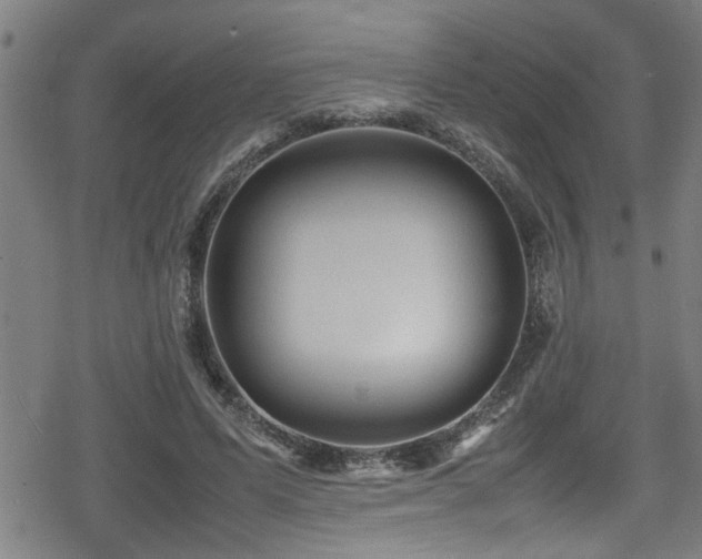 X0000078860591200611131205