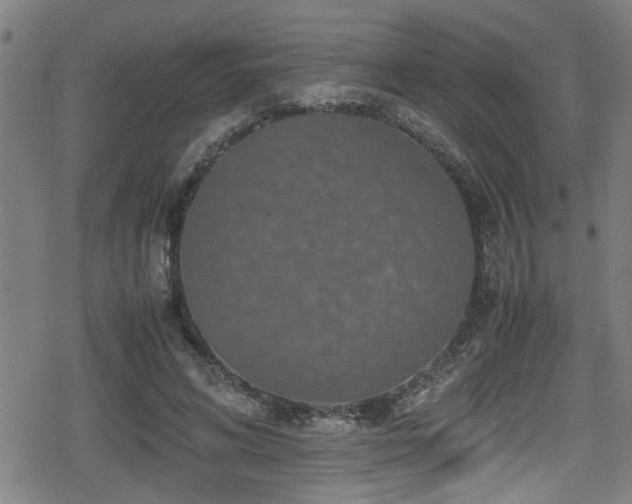 X0000078860592200611131205