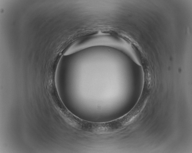 X0000078860593200611131205