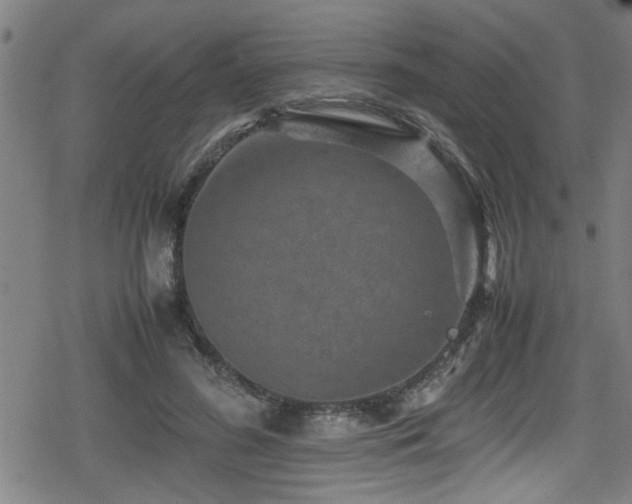 X0000078860596200611131205