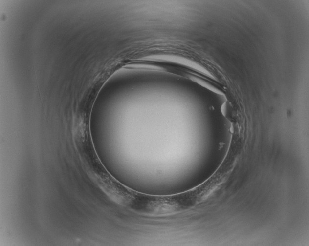 X0000078860597200611131205