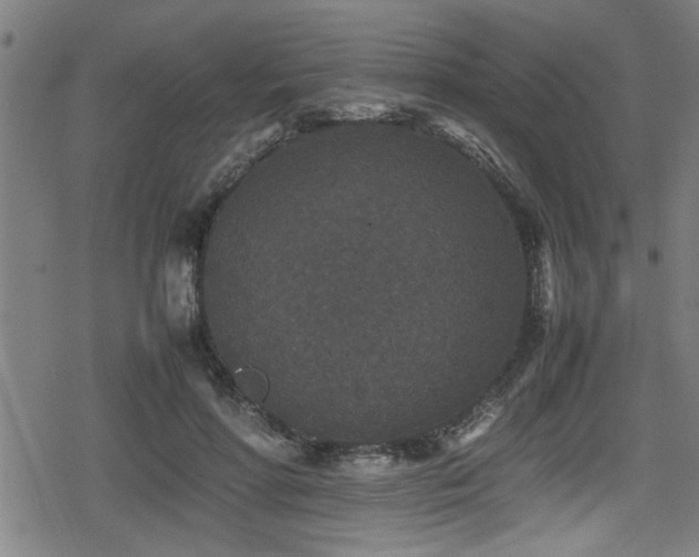 X0000078860598200611131205