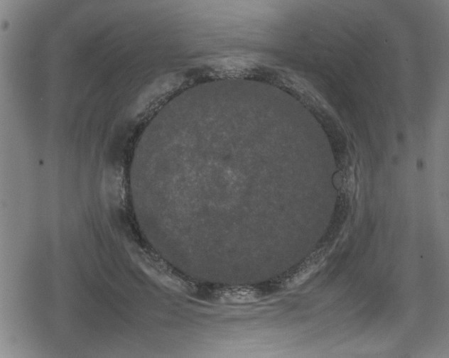 X0000078860599200611131205