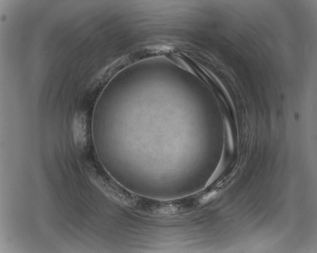 X0000078860600200611131205