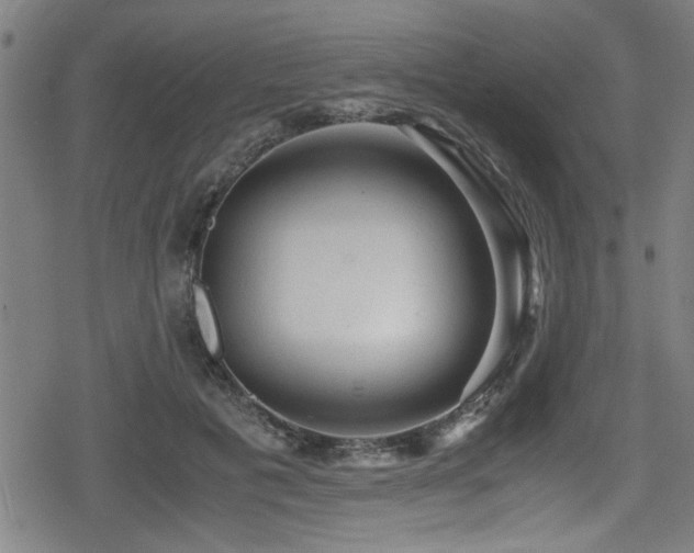 X0000078860601200611131205