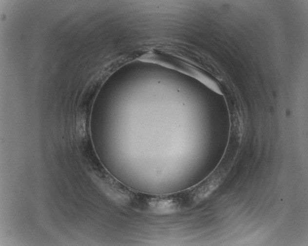 X0000078860602200611131205