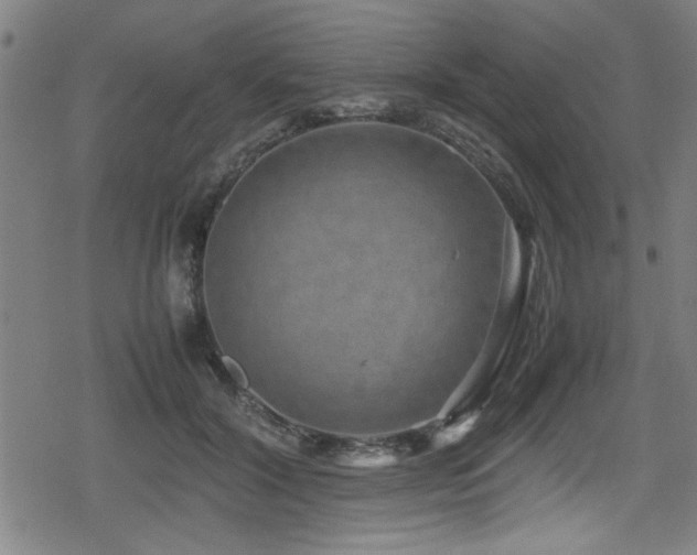 X0000078860604200611131205