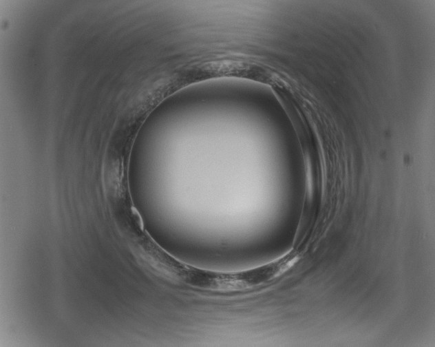 X0000078860605200611131205