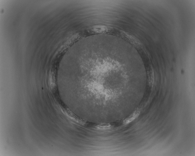 X0000078860606200611131205