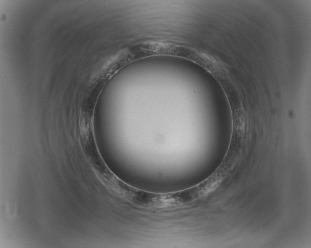 X0000078860607200611131205