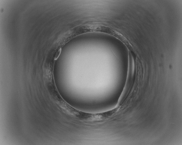 X0000078860609200611131205