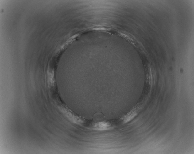 X0000078860610200611131205