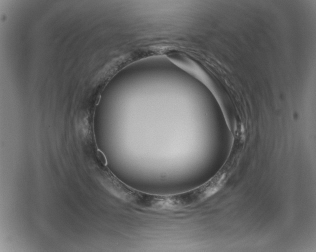 X0000078860611200611131205