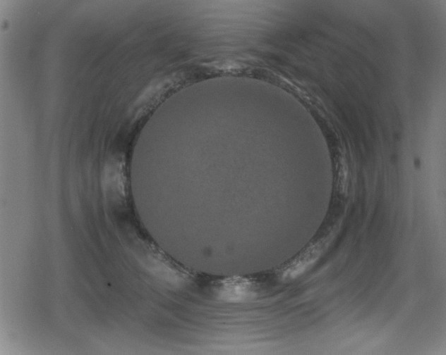 X0000078860612200611131205