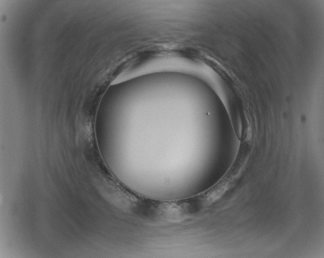 X0000078860613200611131205