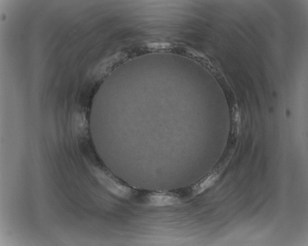 X0000078860614200611131204