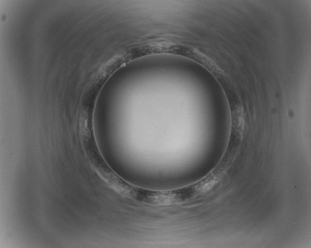 X0000078860615200611131204