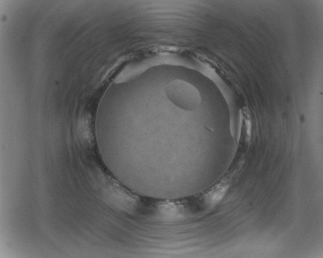 X0000078860616200611131204