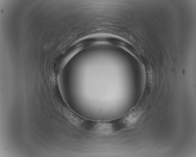 X0000078860617200611131204