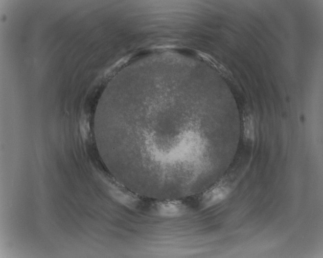 X0000078860618200611131204