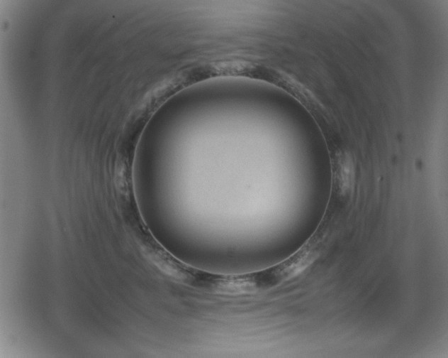 X0000078860619200611131204