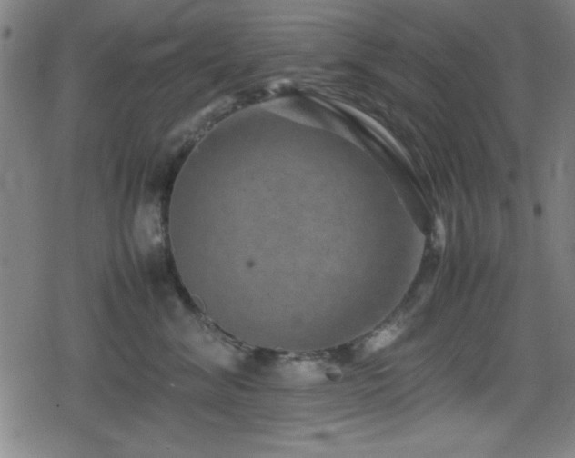 X0000078860620200611131204