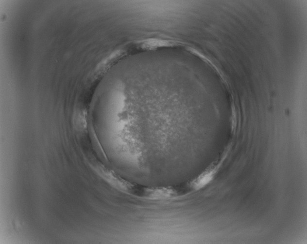 X0000078860621200611131204