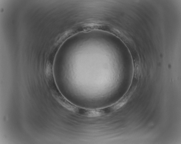 X0000078860623200611131204