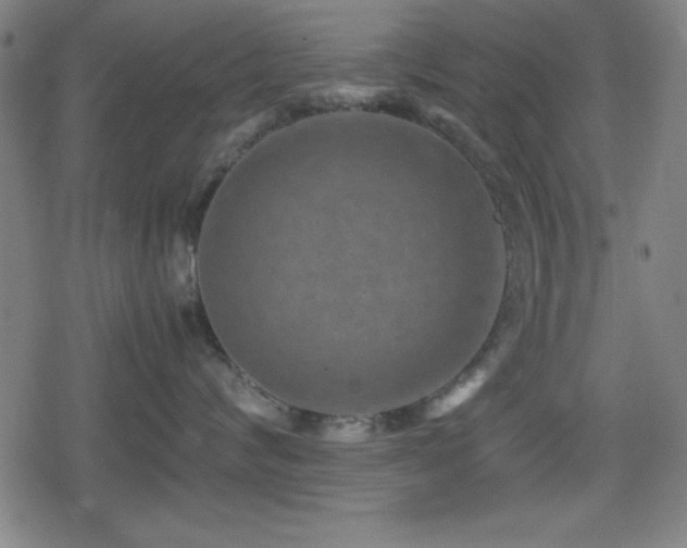 X0000078860624200611131204