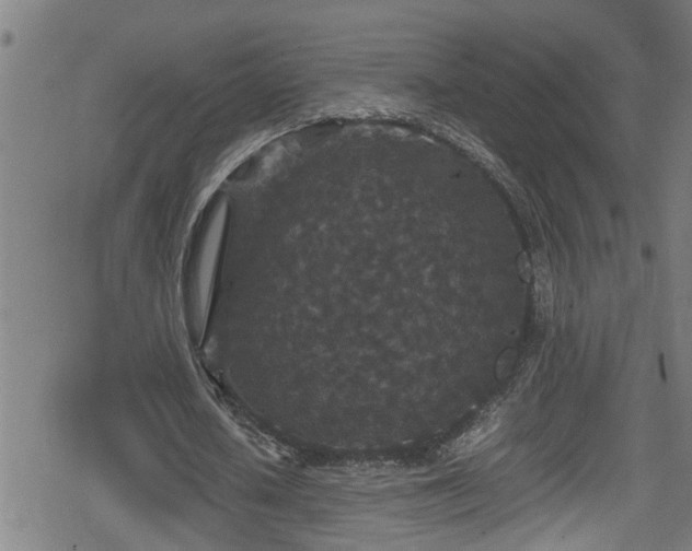 X0000078860626200611131204