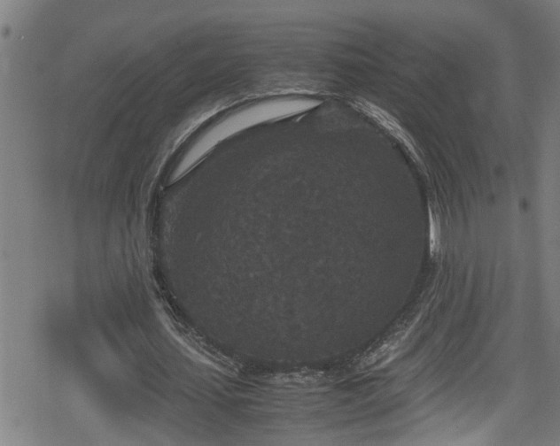 X0000078860627200611131204