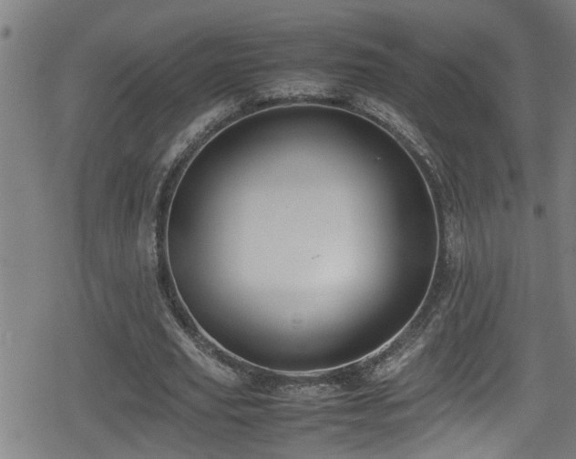 X0000078860629200611131204