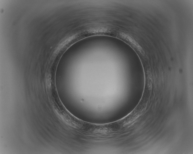 X0000078860631200611131204