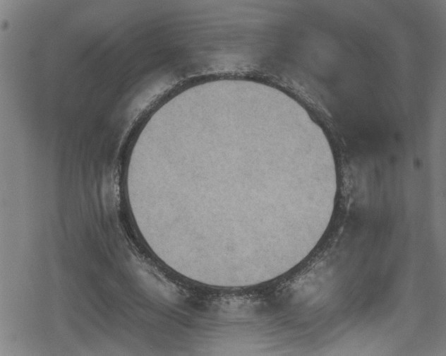 X0000078860632200611131204