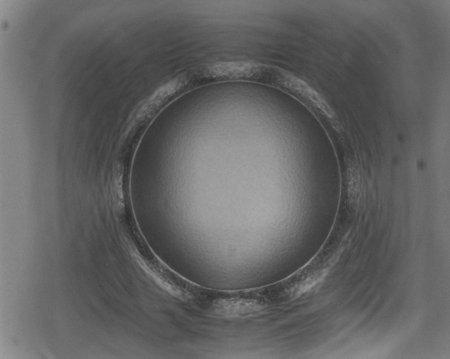 X0000078860633200611131204