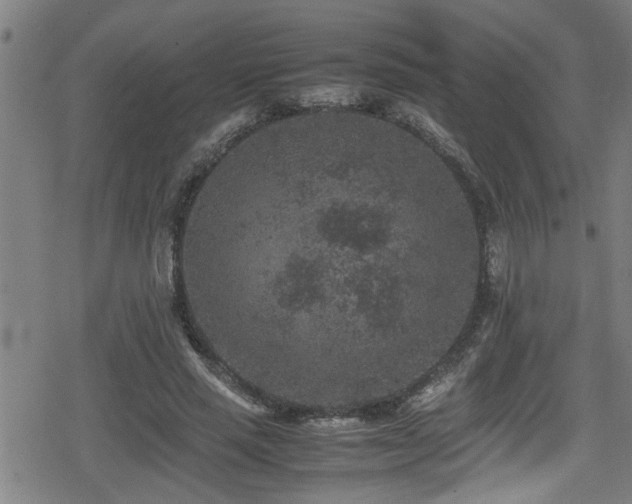 X0000078860637200611131204