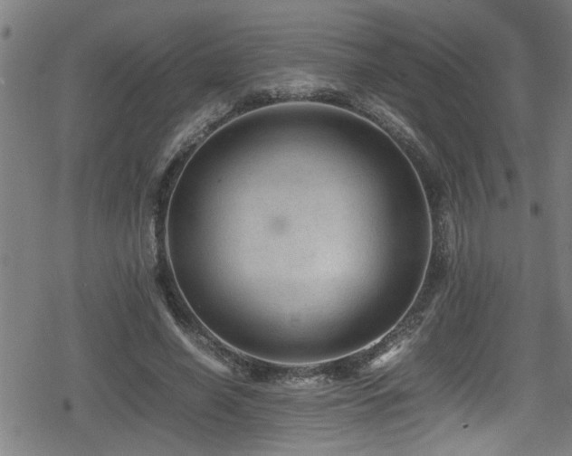 X0000078860638200611131204