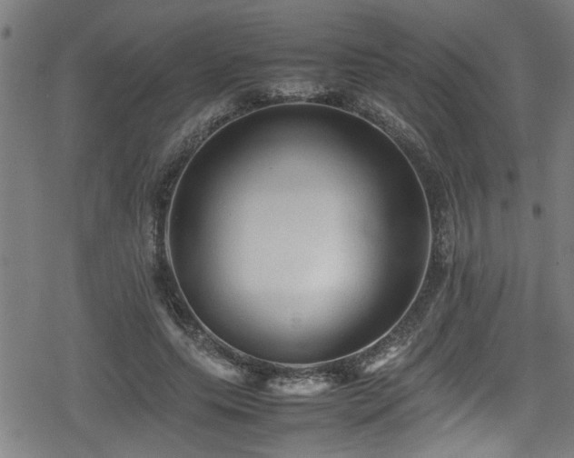 X0000078860639200611131204