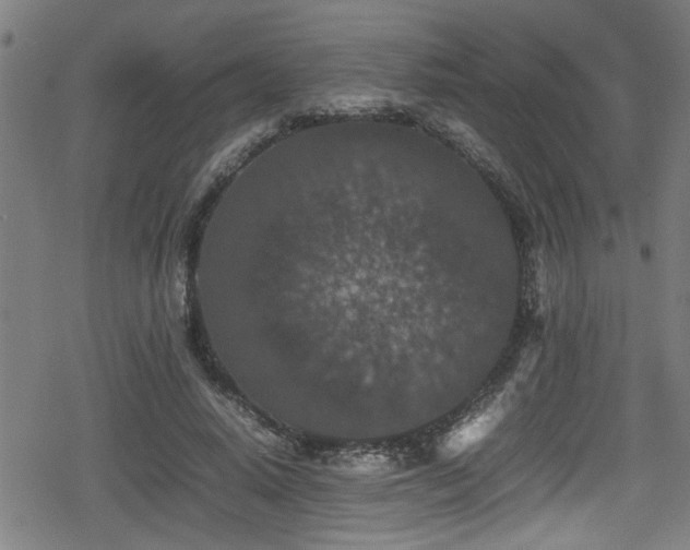 X0000078860640200611131204