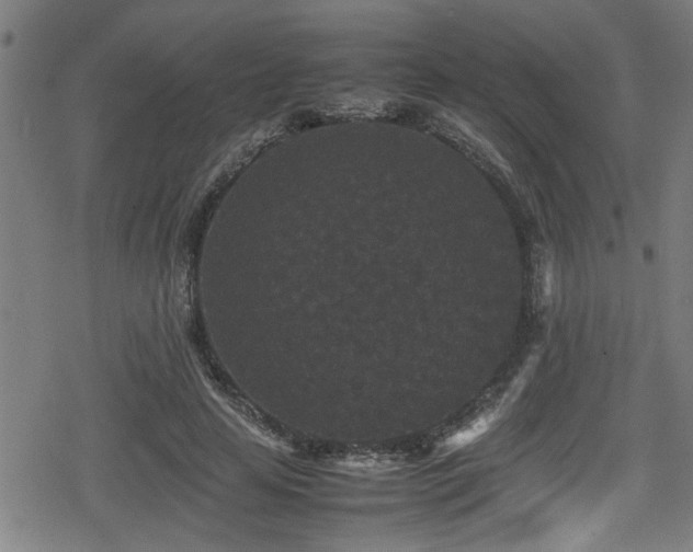 X0000078860641200611131204