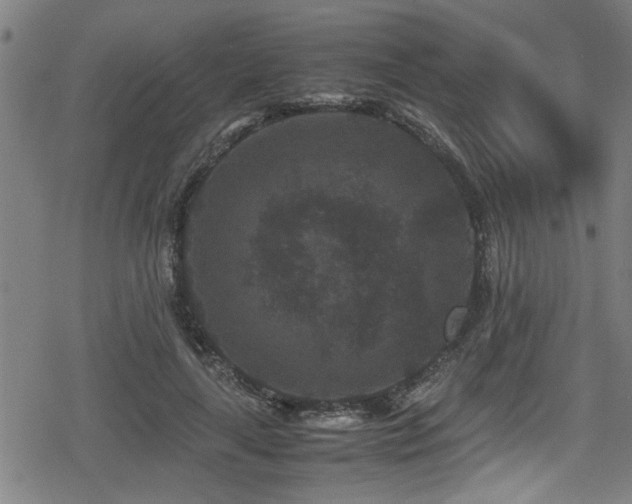 X0000078860643200611131204