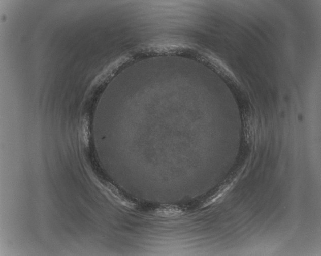 X0000078860644200611131204