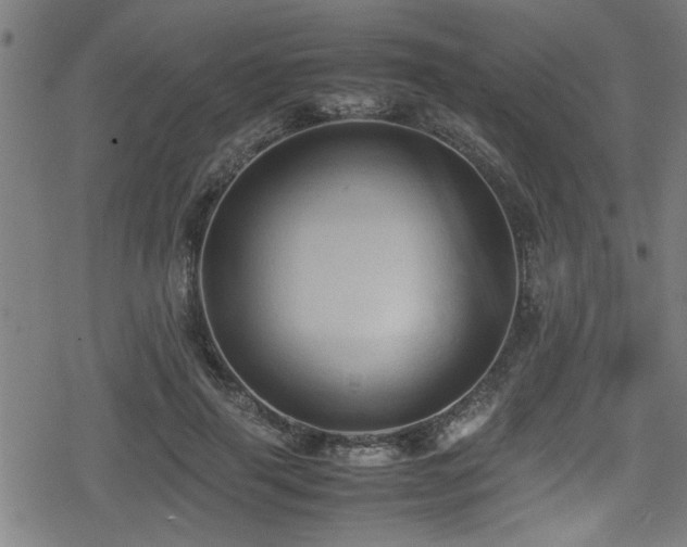 X0000078860645200611131204