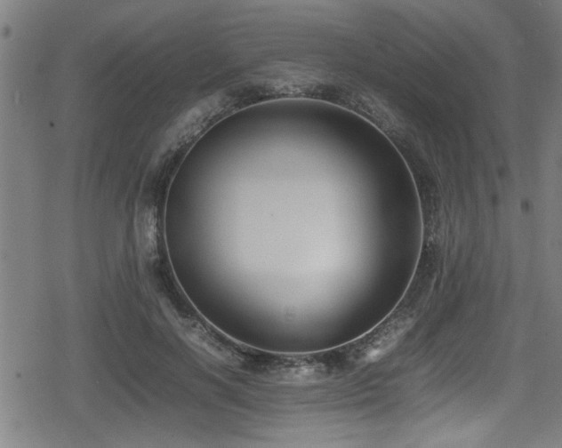 X0000078860646200611131204